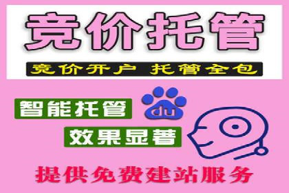 竞价排名成功案例分享